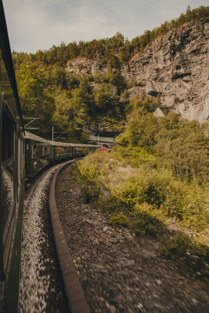 istock Train though the mountains in Norway 1202522513