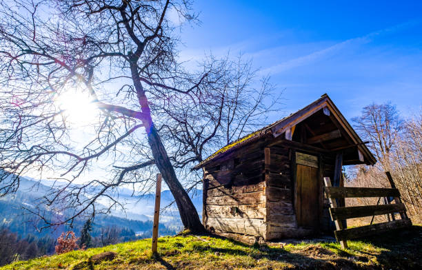 old hut at the european alps - photo