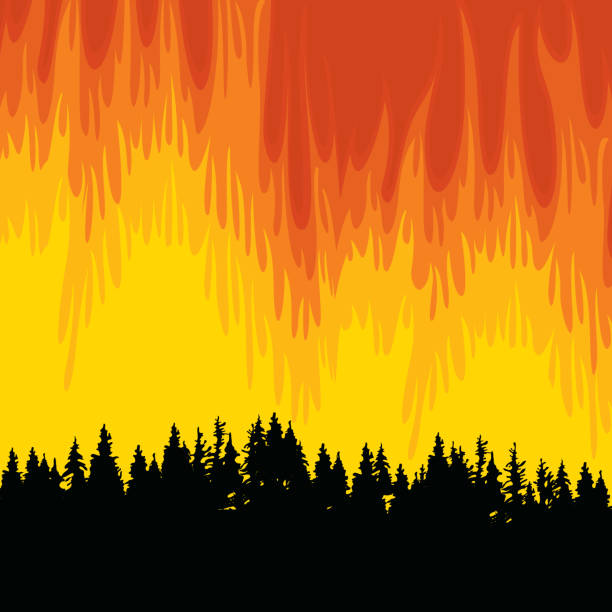 Vector poster on the theme of forest fires and wildfires Vector illustration in black and orange colors with forest fire. Black silhouettes of fir trees on the background of wildfire. Save forest concept landscape nature plant animal stock illustrations