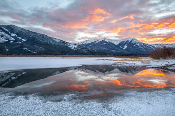istock in the morning 1202527001