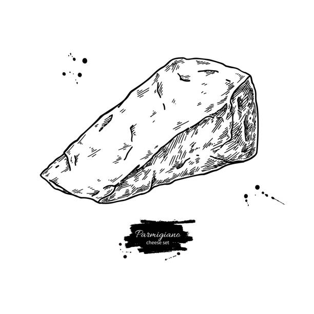 ilustrações de stock, clip art, desenhos animados e ícones de parmigiano reggiano cheese drawing. vector hand drawn food sketch. engraved triangle slice of parmesan - parmesan cheese