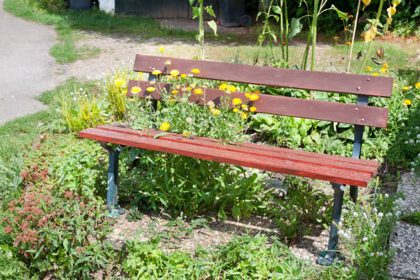 istock Plants, grass and flowers over growing bench in summertime 1202527760