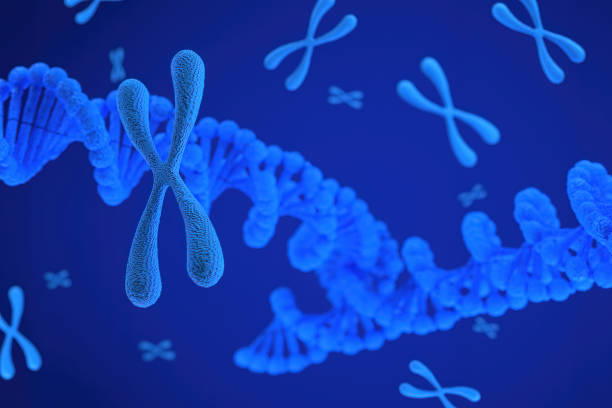 istock 3d rendering of Chromosome Abstract Scientific Background, 3d illustration. 1202531792