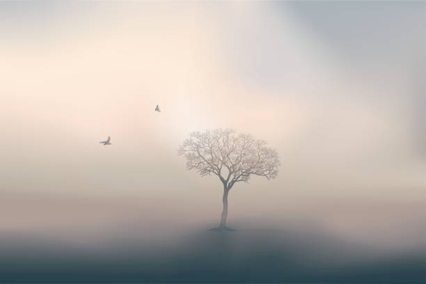 istock At dawn, two birds fly over a tree in the middle of a landscape drowned in mist. 1202531969
