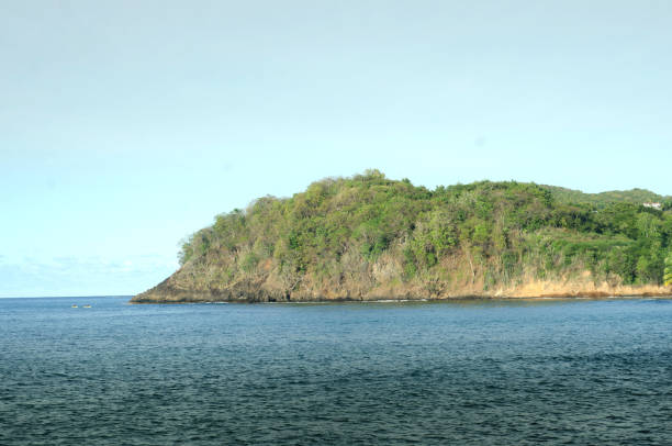 istock scenic headland in ocean environment 1202532398