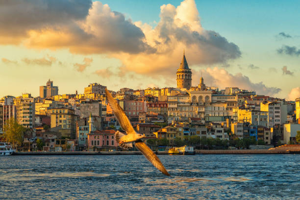 turchia di istanbul - cupola asia turkey istanbul foto e immagini stock