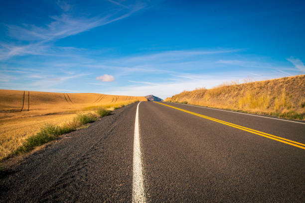 istock turn in the road in rural Washington 1202534913