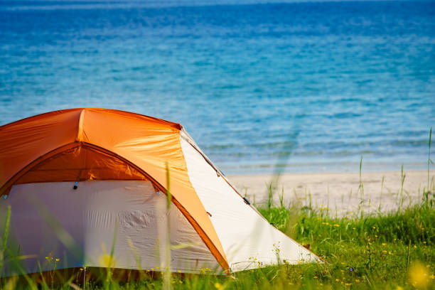 istock Seascape with tent on beach, Lofoten Norway 1202535183