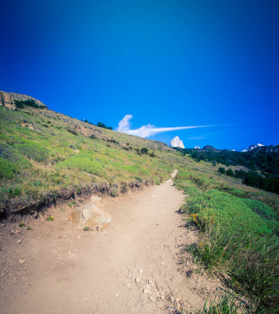 istock Trekking trail leading to Mount Fitz Roy 1202536531