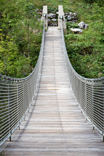 istock Suspension bridge in Klausbachtal valley, Bavaria, Germany 1202537094