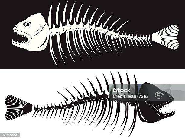 Esqueleto De Peixes - Arte vetorial de stock e mais imagens de Peixe - Peixe, Anatomia, Esqueleto de animal