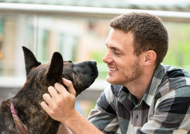 Enjoying being a dog owner