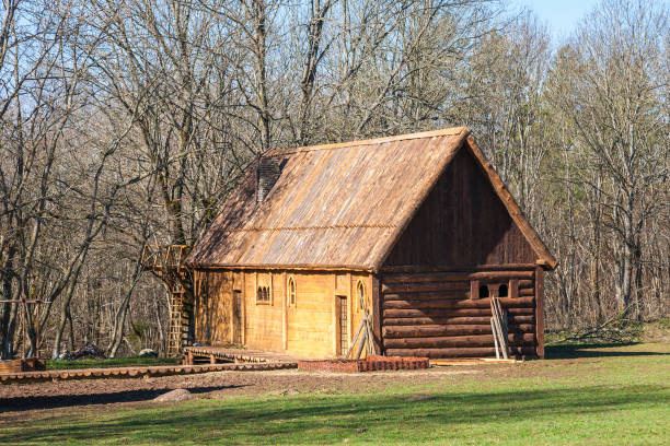 istock Log house on a meadow by a forest in the spring 1202541879