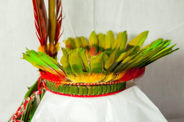 istock Crown of bird feathers 1202543014
