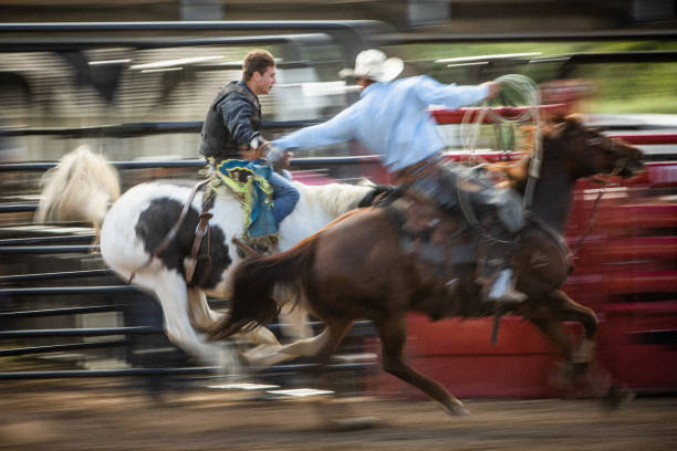 ein pickup-fahrer, der seinen arm ausstreckt, um seinen teamkollegen während des rodeo-sattel-bronc-reit-events zu retten. - rodeo cowboy motion horse stock-fotos und bilder