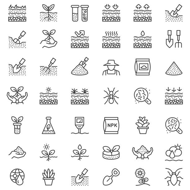 ilustraciones, imágenes clip art, dibujos animados e iconos de stock de conjunto de iconos de línea de suelo - humus soil