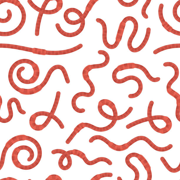illustrations, cliparts, dessins animés et icônes de cartoon earth red worms seamless pattern background. vecteur - dirt backgrounds humus soil textured