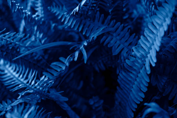 istock Bright blue leaves top view minimalistic background 1202545381