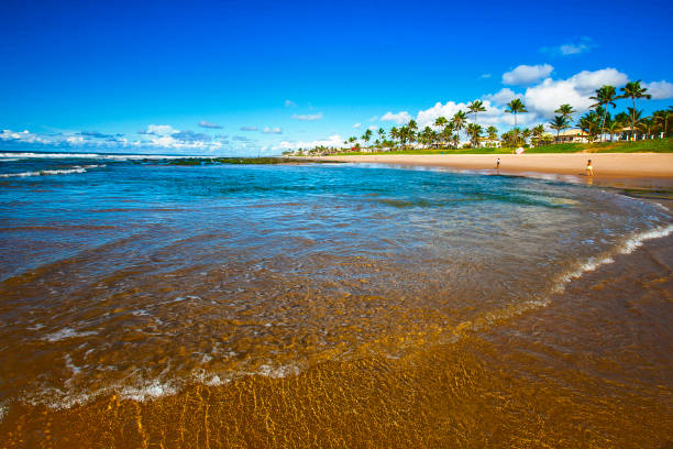 Beach in Lauro de Freitas Bahia