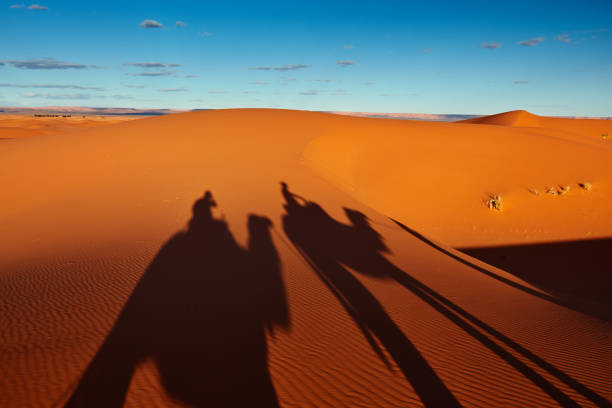 istock Sand dunes in the Sahara Desert, Merzouga, Morocco 1202549253