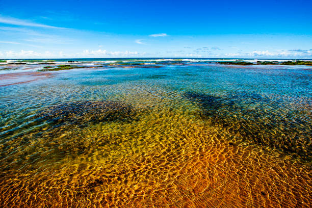 Beach in Lauro de Freitas Bahia