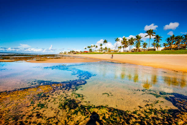 istock Beach in Lauro de Freitas Bahia 1202550033