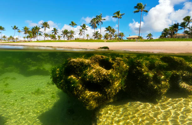 Beach in Lauro de Freitas Bahia