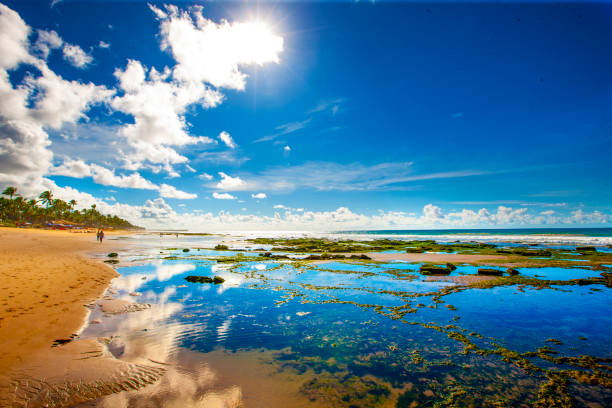 Beach in Lauro de Freitas Bahia