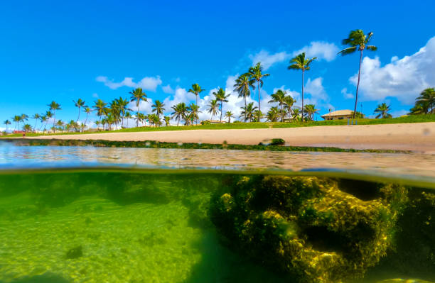 istock Beach in Lauro de Freitas Bahia 1202550406