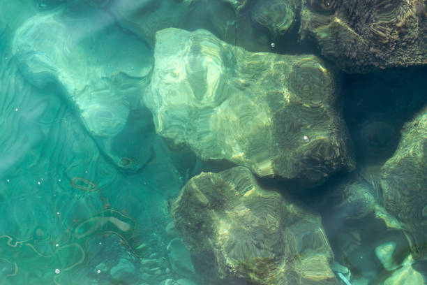 istock Transparent sea water and stones underwater 1202550962