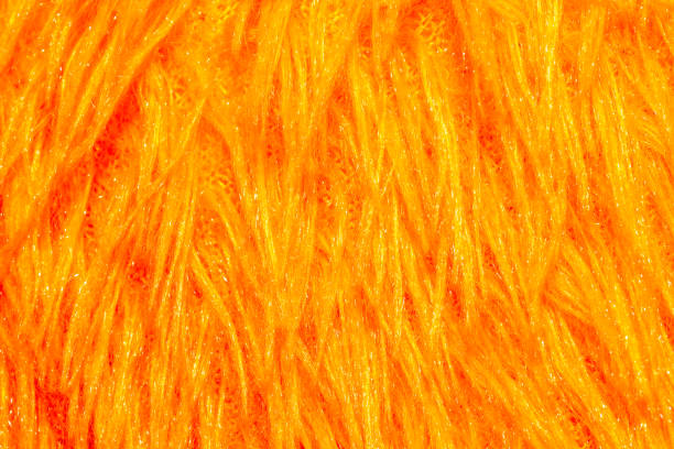 istock faux fur background on brown soft toy 1202551964