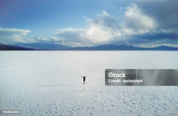 Woman In The Middle Of The Salt Desert Aerial View Stock Photo - Download Image Now