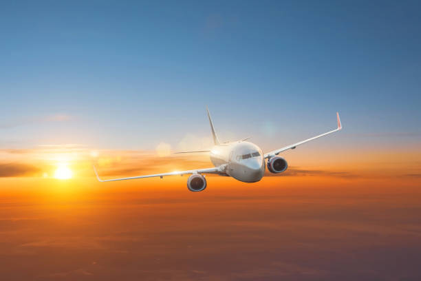 istock Plane flies at dawn high in the sky. 1202555305