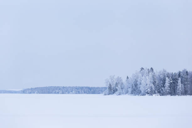 istock Winter cloudy day lake landscape 1202555935