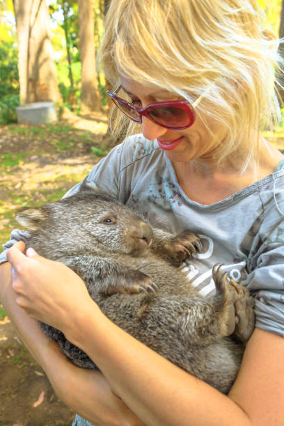istock Woman embraces Wombat 1202557156