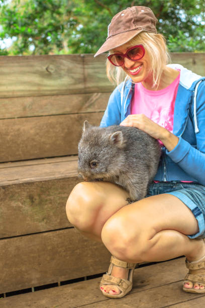 istock Woman with australian Wombat 1202557159