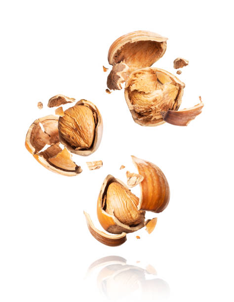 istock Group of crushed hazelnuts in the air close-up on a white background 1202559272