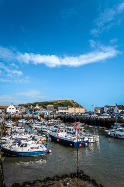 istock Busy Boats Moored In West Bay Pier 1202559493
