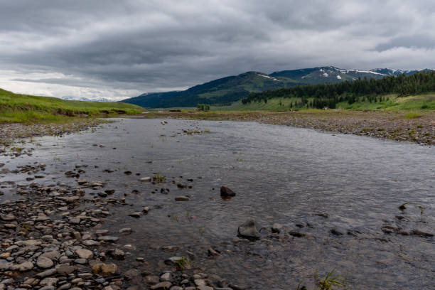 istock Low Angle of Broad River in Yellowstone 1202560038