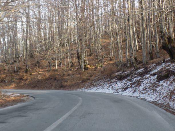 istock Driving the winding road through the woods during the winter 1202561448