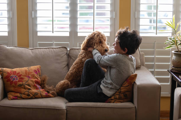 istock Boy Playing with Goldendoodle at Home 1202561522