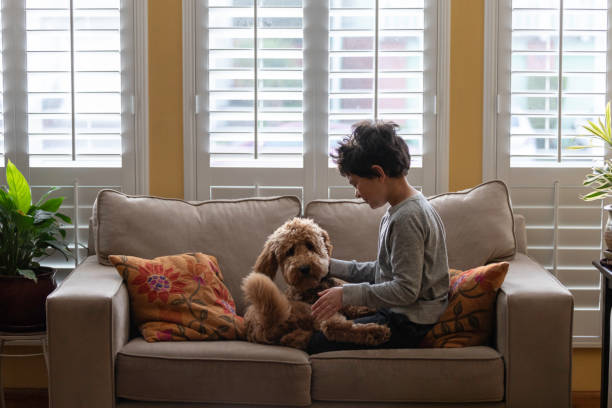 istock Boy Playing with Goldendoodle at Home 1202561536