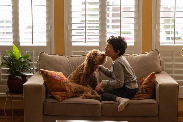 istock Boy Playing with Goldendoodle at Home 1202561544
