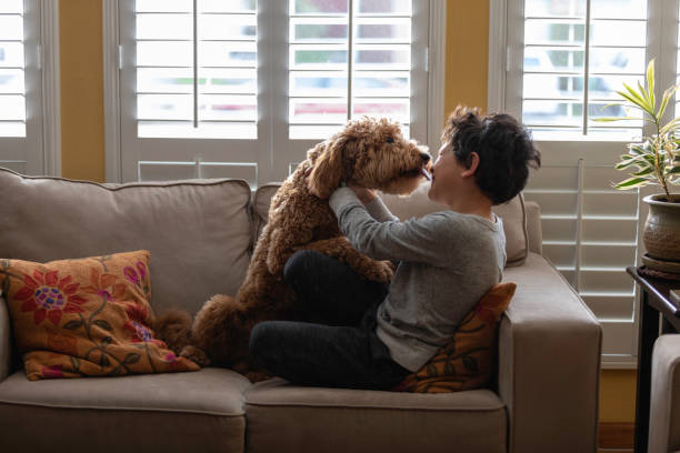 istock Boy Playing with Goldendoodle at Home 1202562060
