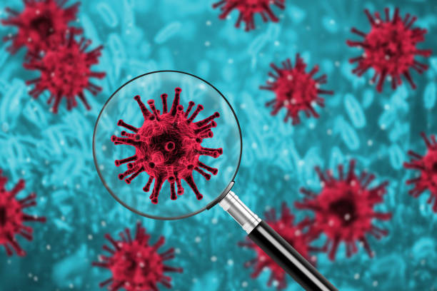 istock Epidemic concept with magnifying glass over virus bacterium 1202562118