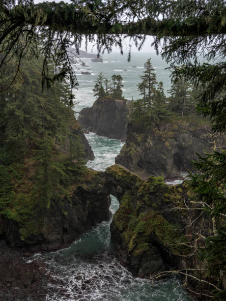 istock Mossy Rocks And Rough Surf Along Oregon Coast 1202562234