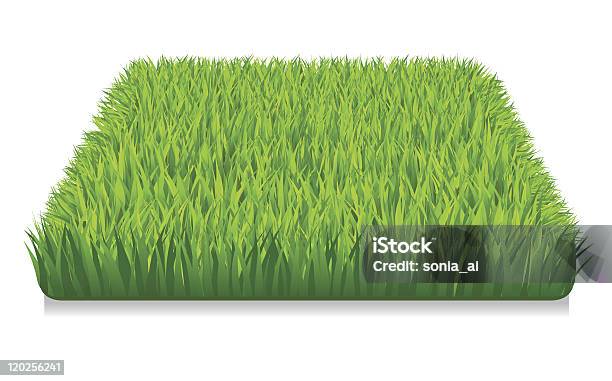Erba Verde - Immagini vettoriali stock e altre immagini di Colore verde - Colore verde, Erba, Illustrazione