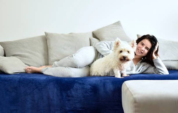 istock The young girl lies on a sofa with a white terrier 1202563063