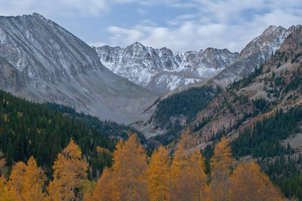 istock Autumn Elk Mountains, Aspen, Colorado 1202563583
