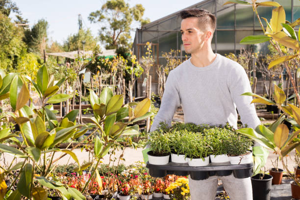 istock Young gardener caring for flowers in orangery 1202564413